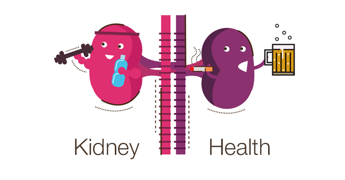 kidney-health