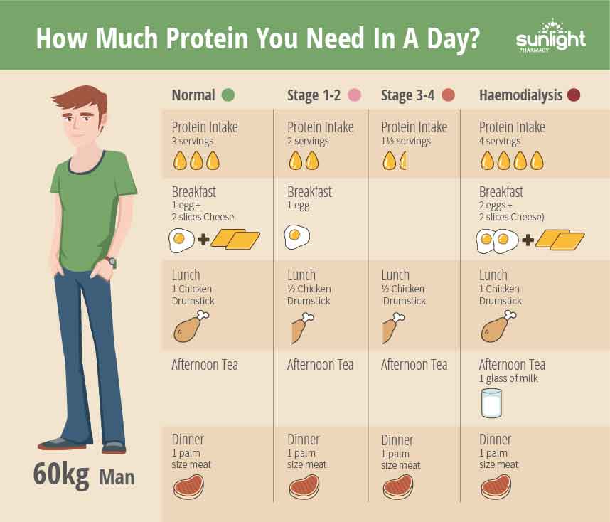 Is Too Much Protein Bad for My Kidneys? – Sunlight Pharmacy
