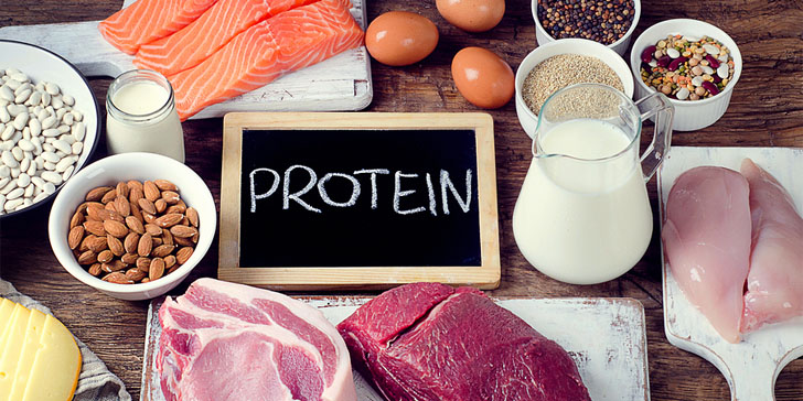 protein-food
