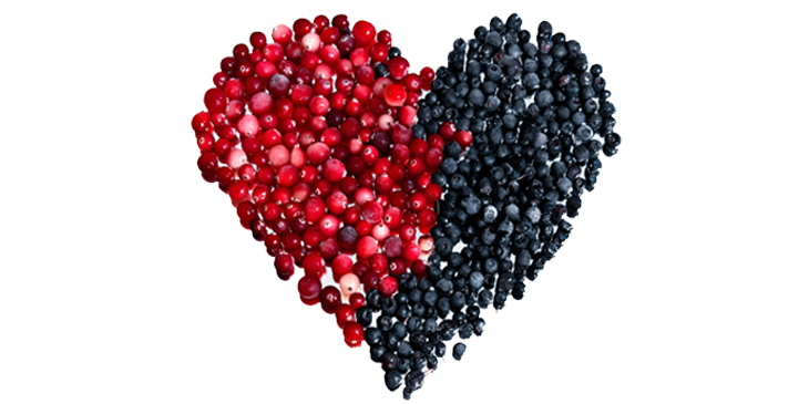 heart-protective-berries