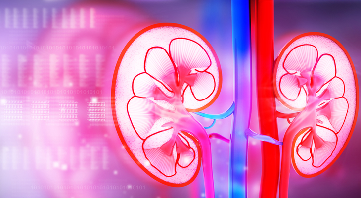 About Chronic Kidney Disease – Sunlight Pharmacy